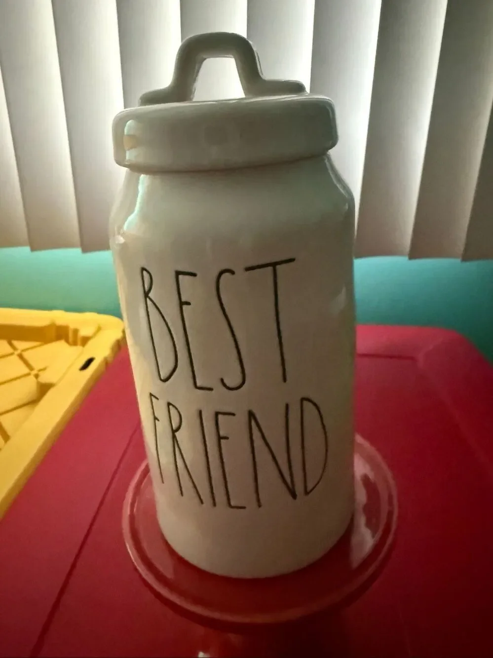 Rae Dunn Artisan Skinny Pet Canister
